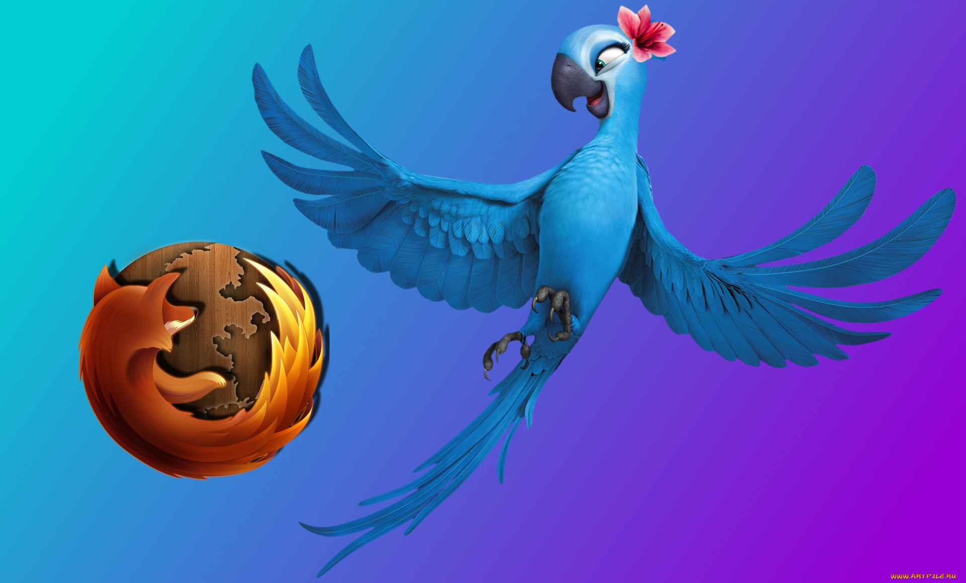 , mozilla firefox, , 
